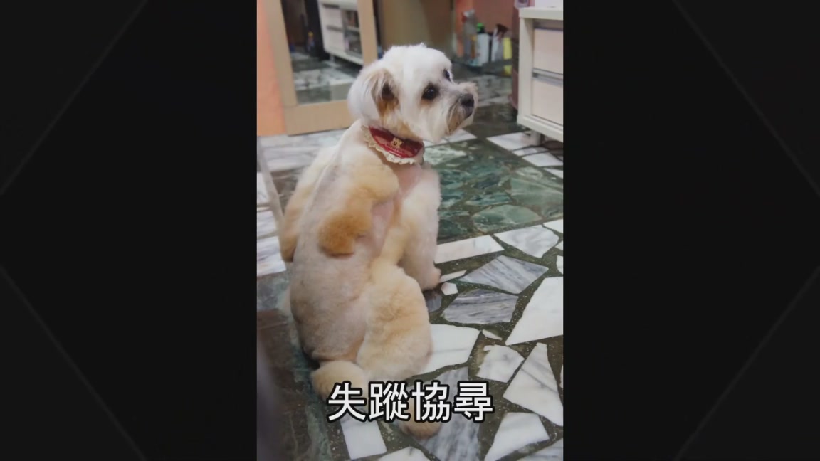 按此在新窗口瀏覽圖片