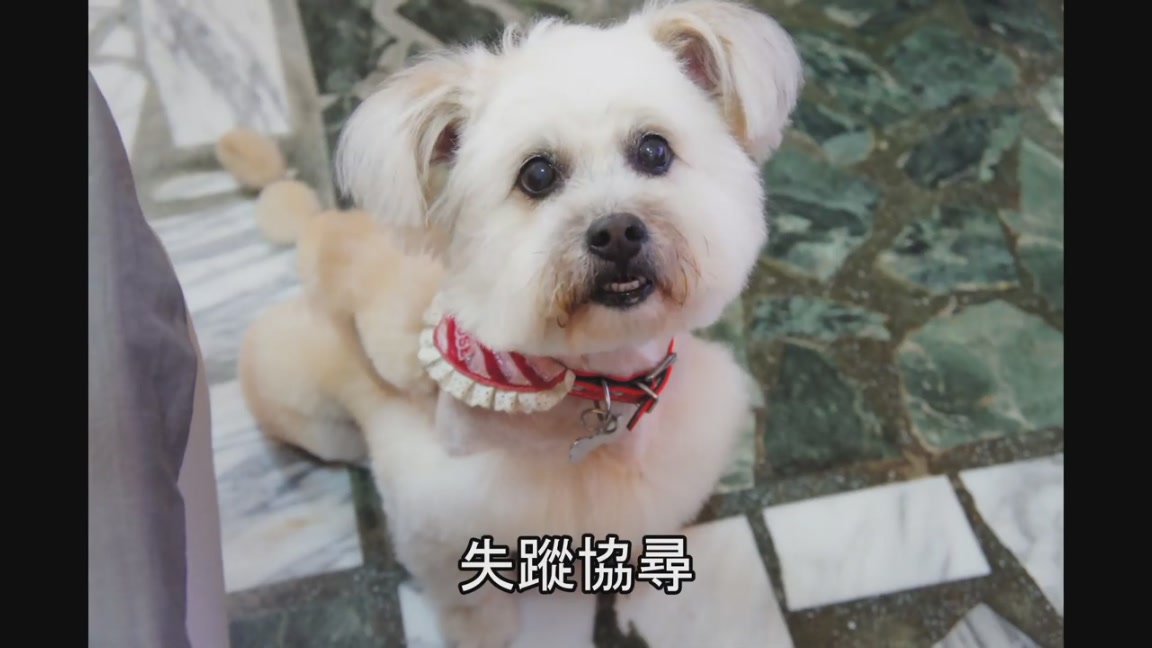 按此在新窗口瀏覽圖片