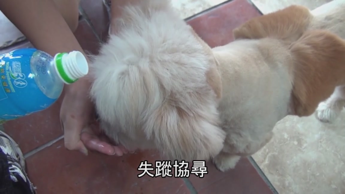 按此在新窗口瀏覽圖片