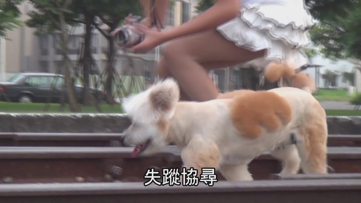 按此在新窗口瀏覽圖片
