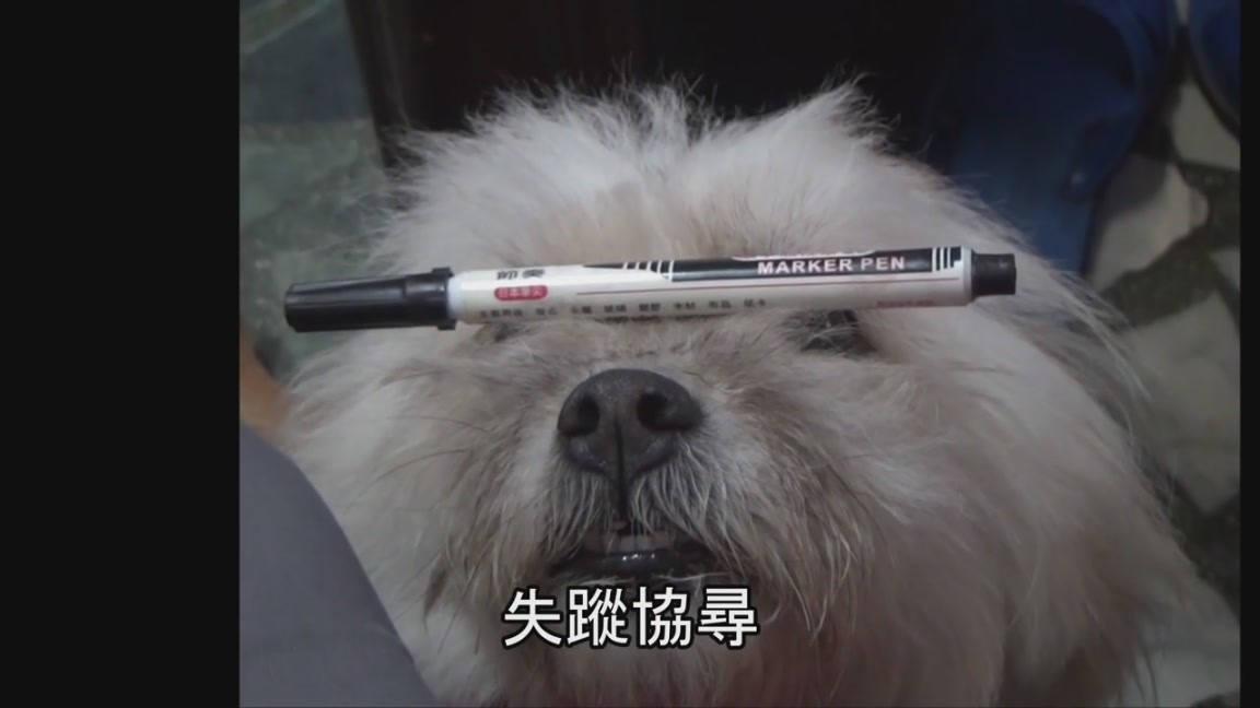 按此在新窗口瀏覽圖片