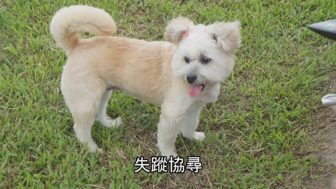 按此在新窗口瀏覽圖片