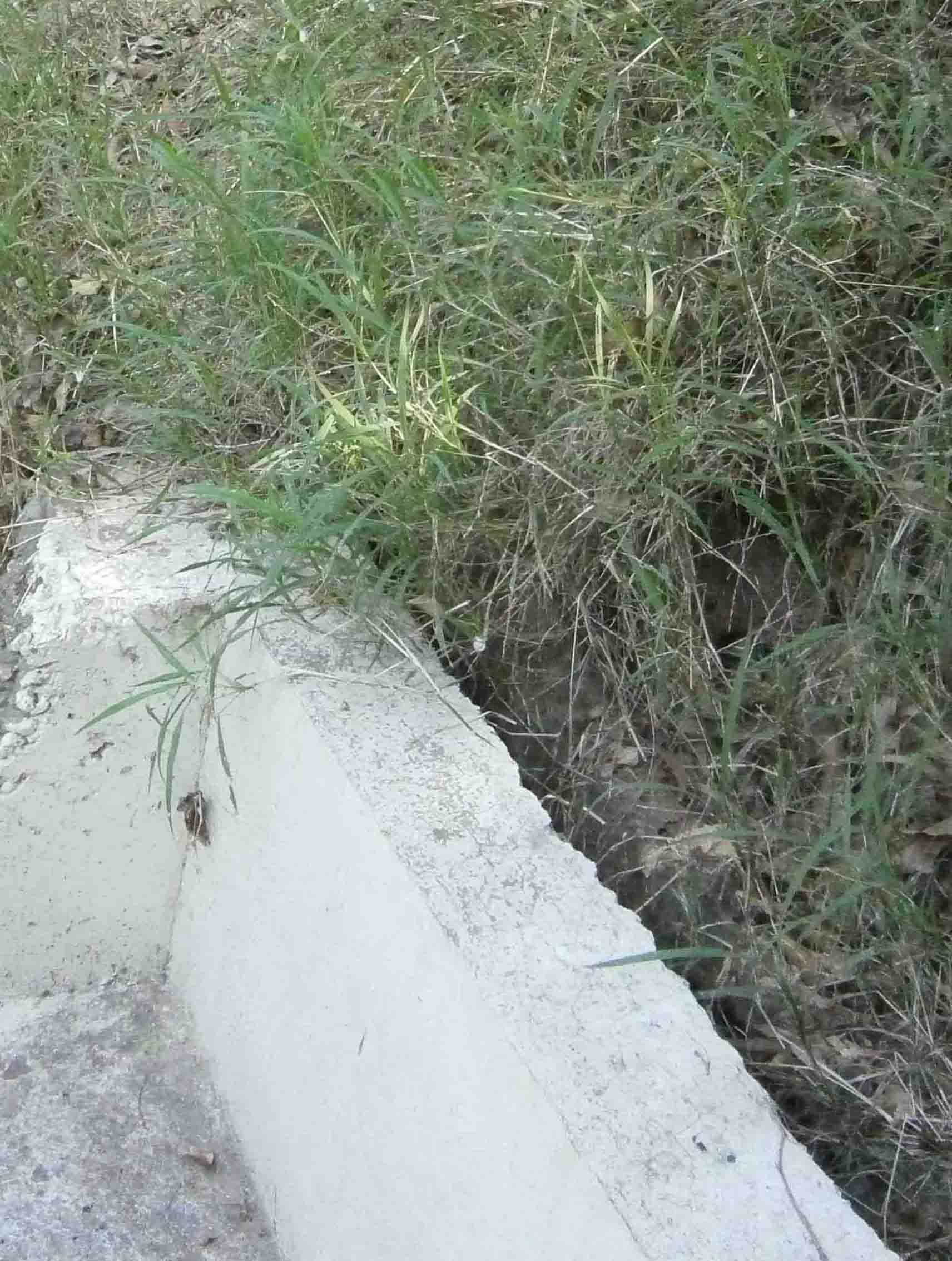 按此在新窗口瀏覽圖片