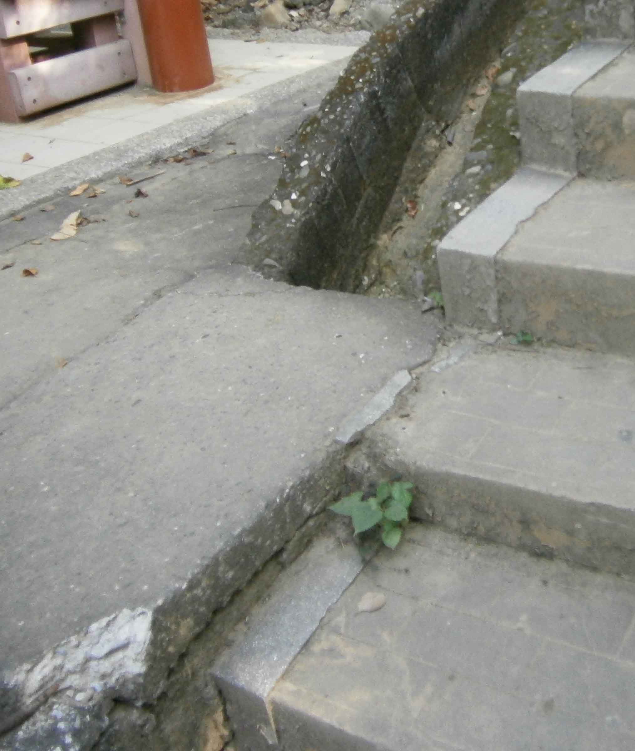 按此在新窗口瀏覽圖片
