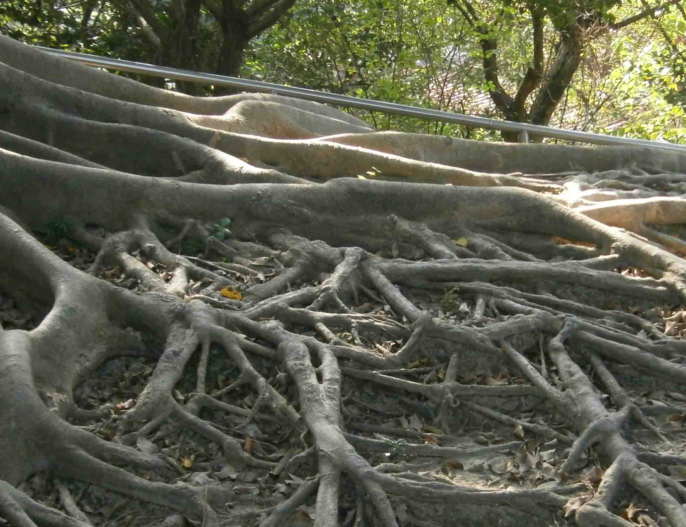 按此在新窗口瀏覽圖片